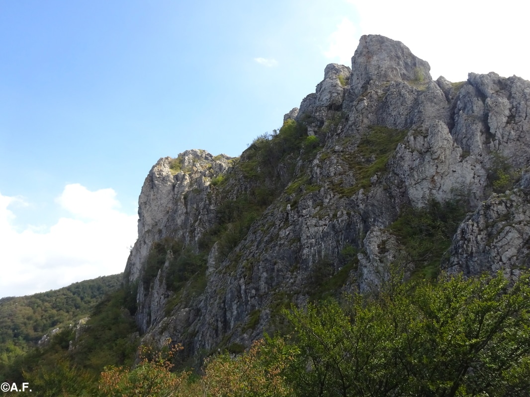 Rocca barbena