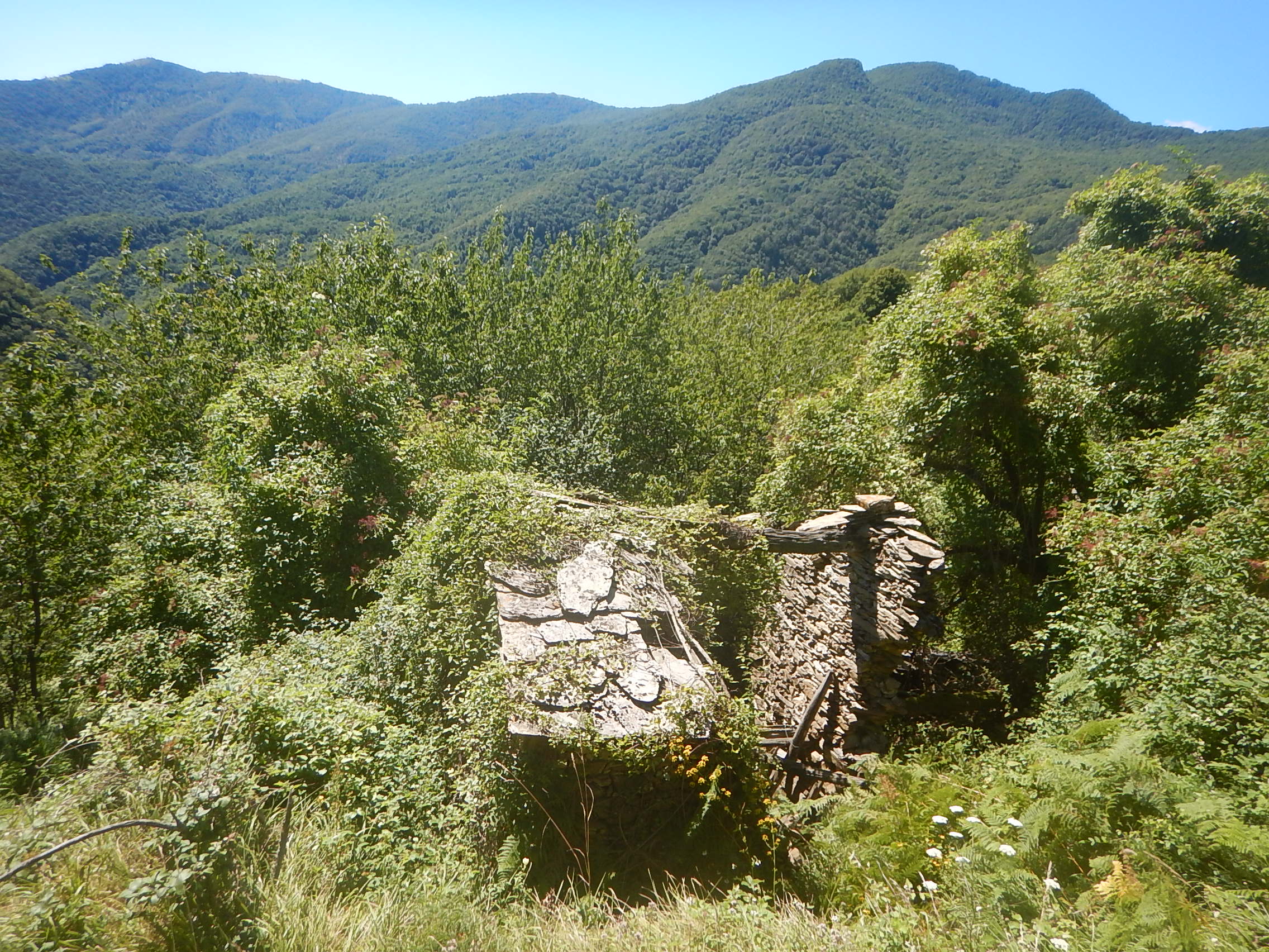 DSCN2232