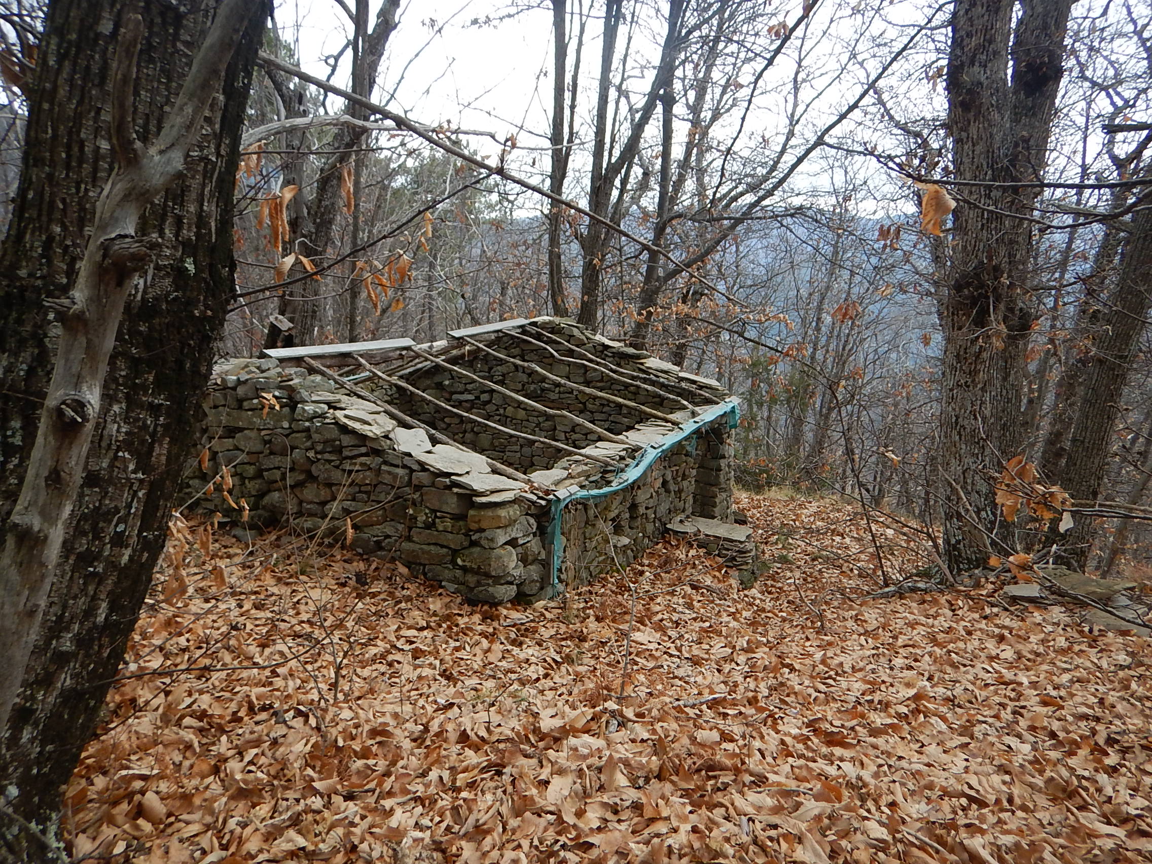 DSCN2063