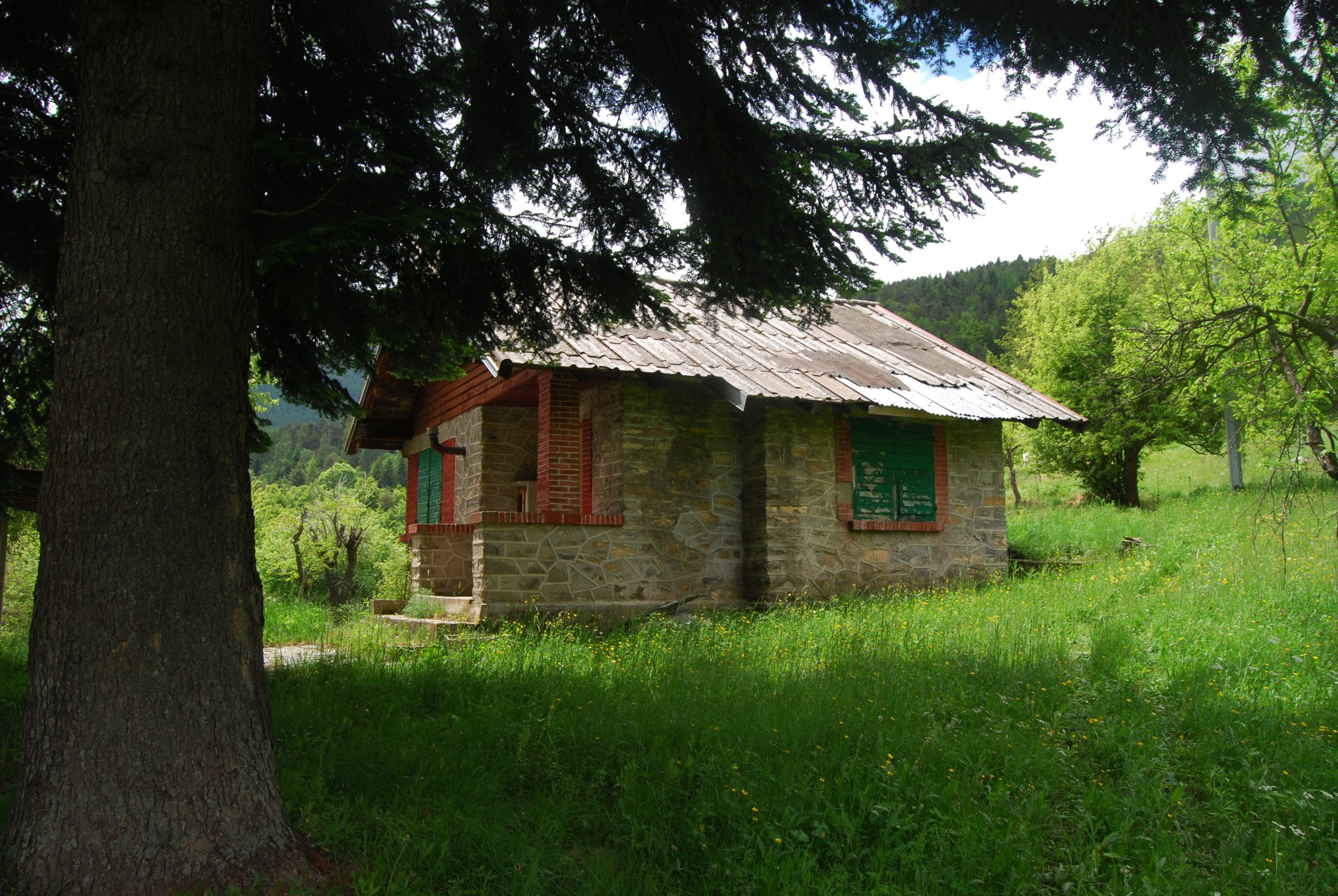 DSC 0049 (2)