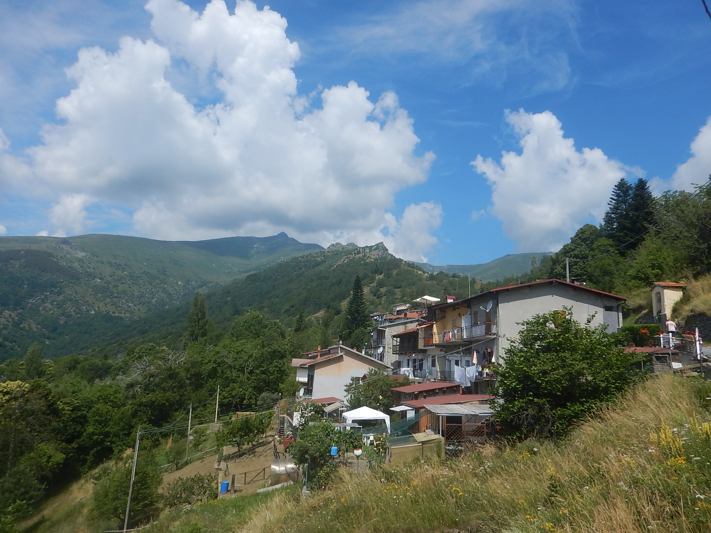 DSCN7644