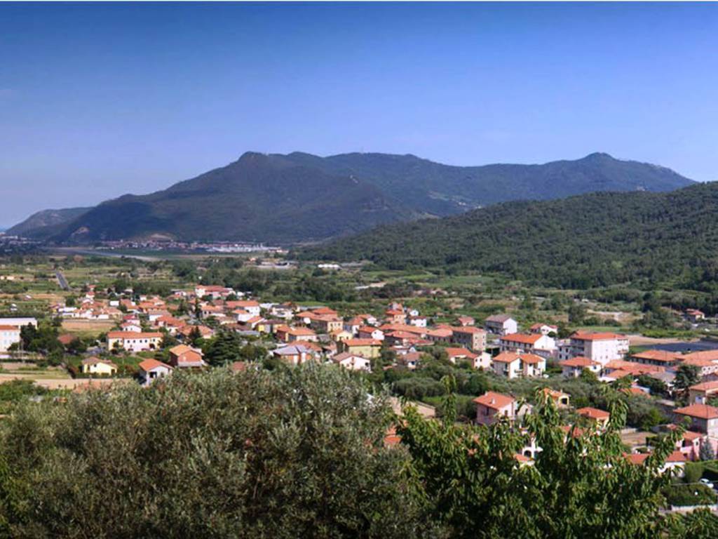 Ortovero 246181.large