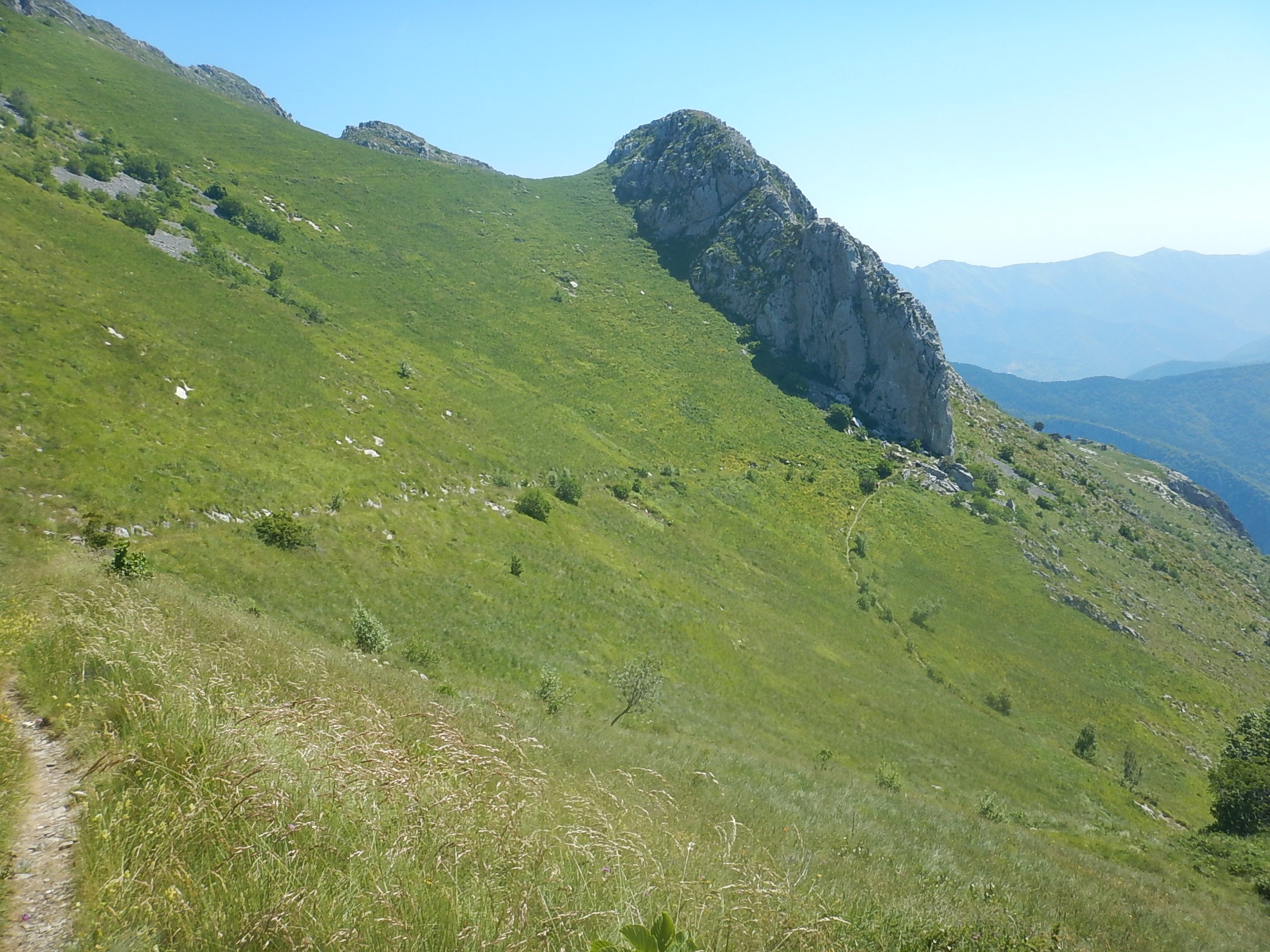 Cap.3 prati del toraggio