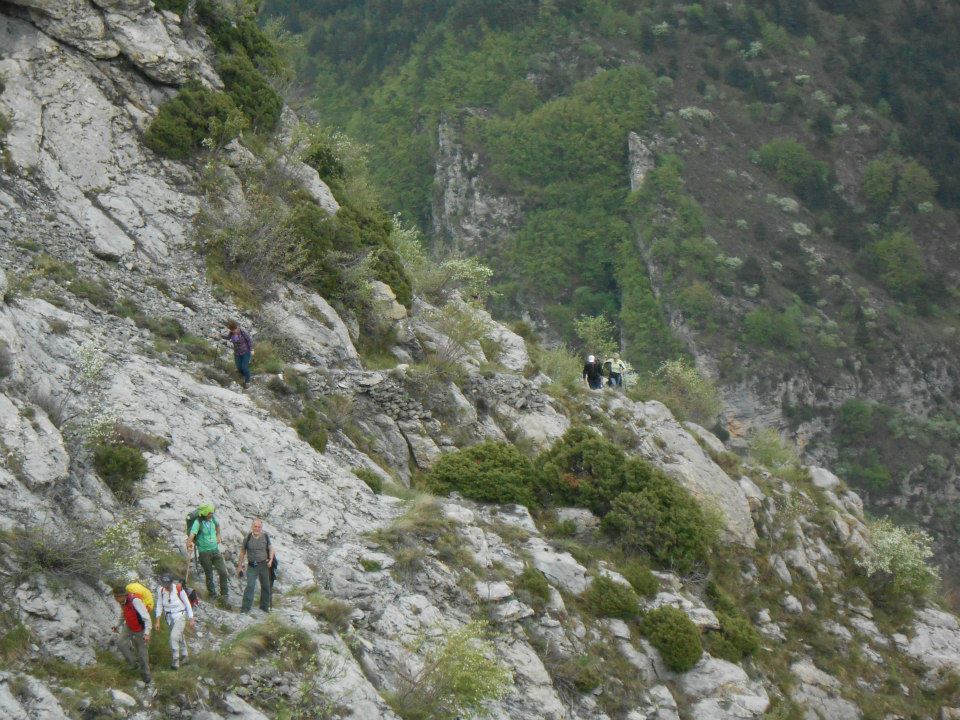 Ascesa creppo borniga