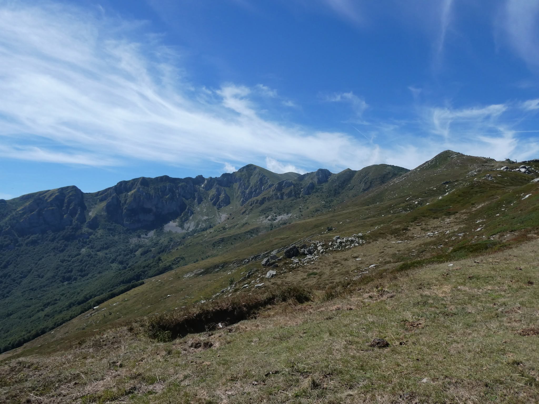 Monte berlino